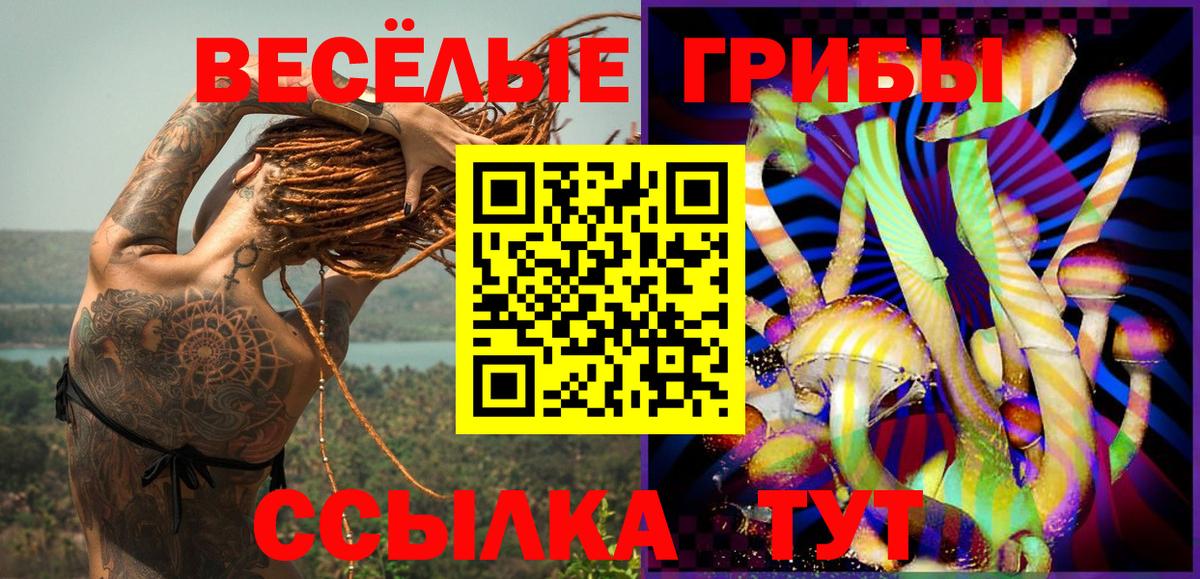 Псилоцибиновые грибы мицелий  закладка  Рузаевка  Псилоцибиновые грибы Cubensis  Вход с VPN 
